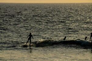 une groupe de gens sur planches de surf dans le océan photo