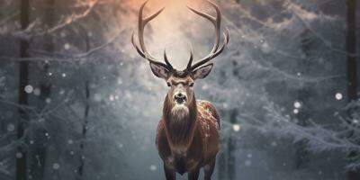 noble cerf Masculin dans le hiver neige forêt. artistique hiver Noël paysage. ai généré photo