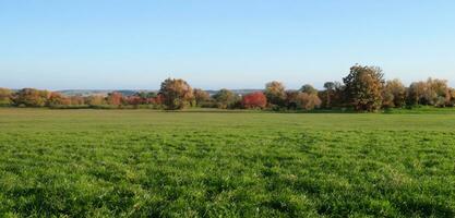 rural paysage prairie collines terre et ciel 3d illustration photo