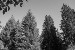 l'automne temps dans Suisse photo