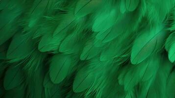 magnifique abstrait vert plumes arrière-plan, plume texture photo