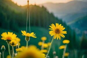 Jaune fleurs dans le montagnes à le coucher du soleil. généré par ai photo