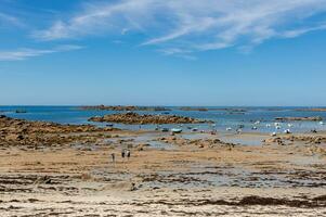 été côtier beauté dans Bretagne, France photo