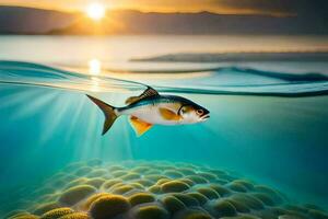 une poisson nager dans le océan avec le Soleil réglage derrière il. généré par ai photo