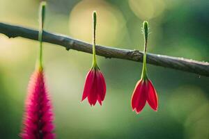 deux rouge fleurs sont pendaison de une branche. généré par ai photo