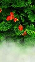 jardin vertical avec feuille verte tropicale avec brouillard et pluie photo