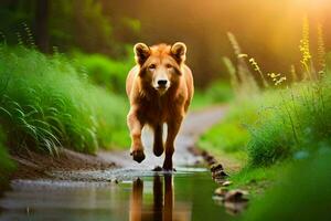 une Lion en marchant le long de une chemin dans le herbe. généré par ai photo