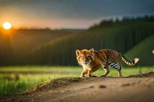 une tigre en marchant à travers une saleté route à le coucher du soleil. généré par ai photo