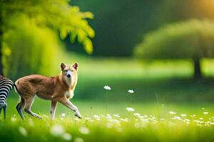 photo fond d'écran le ciel, animaux, le soleil, le herbe, fleurs, le animaux, le. généré par ai