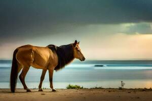 une cheval permanent sur le plage à le coucher du soleil. généré par ai photo