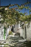 Rue pavée de la vieille ville de Berat en Albanie photo