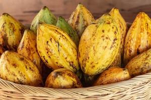 fruit de cacao frais dans un panier photo