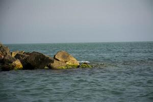 magnifique mer vue avec rochers photo