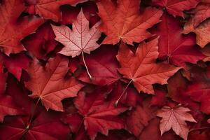 du vin rouge l'automne feuilles texture, tomber la nature arrière-plan, ai génératif photo