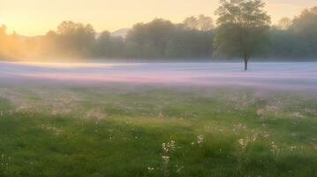 un idyllique Prairie se réveille à le doux embrasse de Matin lumière, émanant tranquillité et Naturel beauté. ai généré photo