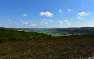 scénique bruyère des champs et tourbières dans Nord Yorkshire photo