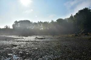 faible marée plus de boueux plage avec une lourd brouillard photo