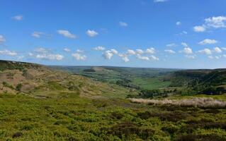 luxuriant paysage avec des champs, landes et tourbières dans Angleterre photo