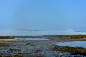 brouillard planant plus de le rive dans casco baie photo
