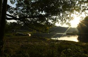 Soleil éclat luisant par le des arbres sur Nord rivière photo