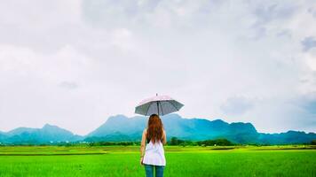 les femmes asiatiques voyagent se détendent pendant les vacances. les femmes se tenaient avec un parapluie sous la pluie heureuses et profitant de la pluie qui tombe. voyager à la campagne, rizières vertes, voyager en thaïlande. photo