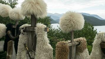 géorgien papakhas sont vendu à touristes contre le toile de fond de montagnes. périple le long de le militaire géorgien route. photo