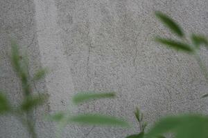 Vide ciment mur surface avec flou vert feuilles, le sable ciment mur Contexte avec vert feuille photo