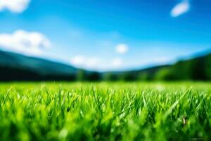 proche en haut printemps herbe champ avec lumière du soleil bokeh arrière-plan, génératif ai illustration photo