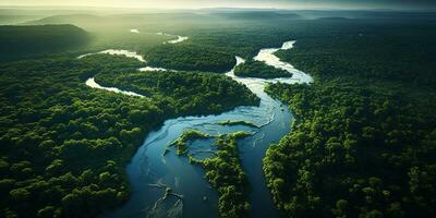 génératif ai, vert magnifique amazonien jungle paysage avec des arbres et rivière, drone vue photo