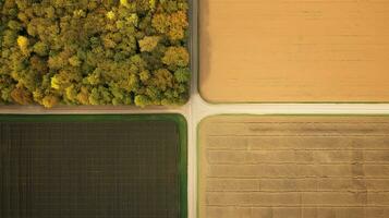 génératif ai, ferme l'automne paysage, agricole des champs, magnifique vert, jaune, Orange et beige campagne, pays route. la nature illustration, photoréaliste Haut vue drone. photo