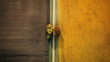 génératif ai, ferme l'automne paysage, agricole des champs, magnifique vert, jaune, Orange et beige campagne, pays route. la nature illustration, photoréaliste Haut vue drone. photo