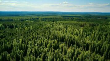 paysage russe taïga clairières ai généré photo