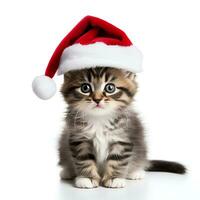 mignonne chaton portant rouge Noël chapeau Regardez à caméra, isolé sur blanc arrière-plan, ai généré photo