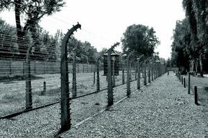 souvenir Auschwitz Birkenau concentration et extermination camp photo
