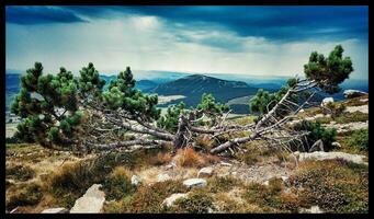 l'automne Montagne paysage dans haut forez, massif central, France photo