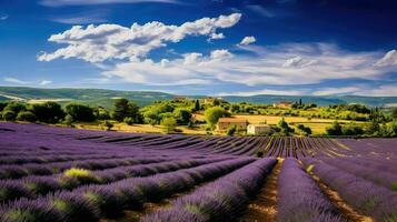agriculture Provence vignobles France ai généré photo