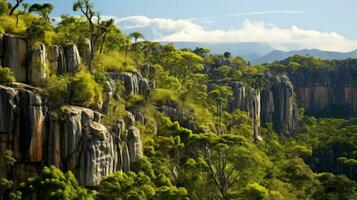 la nature Madagascar forêt tropicale unique ai généré photo