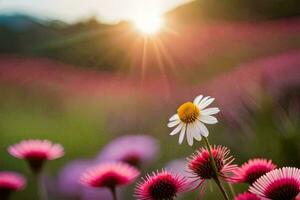 rose marguerites dans le Soleil. généré par ai photo