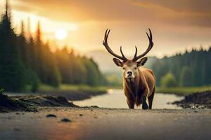 une cerf est permanent dans le milieu de une route à le coucher du soleil. généré par ai photo