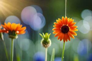 Orange fleurs dans le Soleil avec une vert Contexte. généré par ai photo