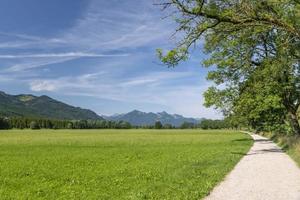 paysage de pré vert bavarois avec un chemin lumineux, ciel bleu