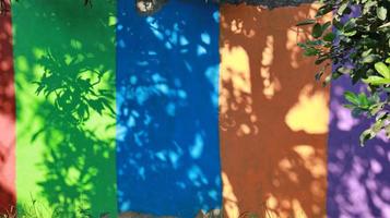 murs colorés, avec des ombres d'arbres formant un ornement unique