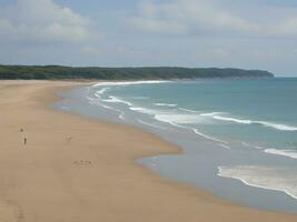 plage magnifique proche en haut image ai généré photo