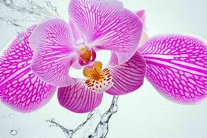 l'eau éclaboussure sur orchidée fleur. Contexte. ai génératif pro photo
