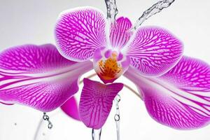 l'eau éclaboussure sur orchidée fleur. Contexte. ai génératif pro photo
