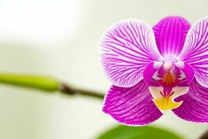 orchidée fleur. Contexte. ai génératif pro photo