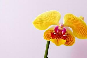 orchidée fleur. Contexte. ai génératif pro photo