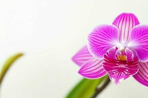 orchidée fleur. Contexte. ai génératif pro photo