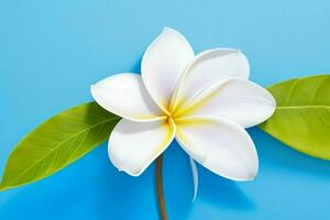 plumeria fleur. Contexte. ai génératif pro photo