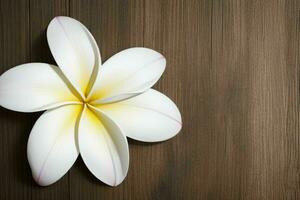 plumeria fleur. Contexte. ai génératif pro photo